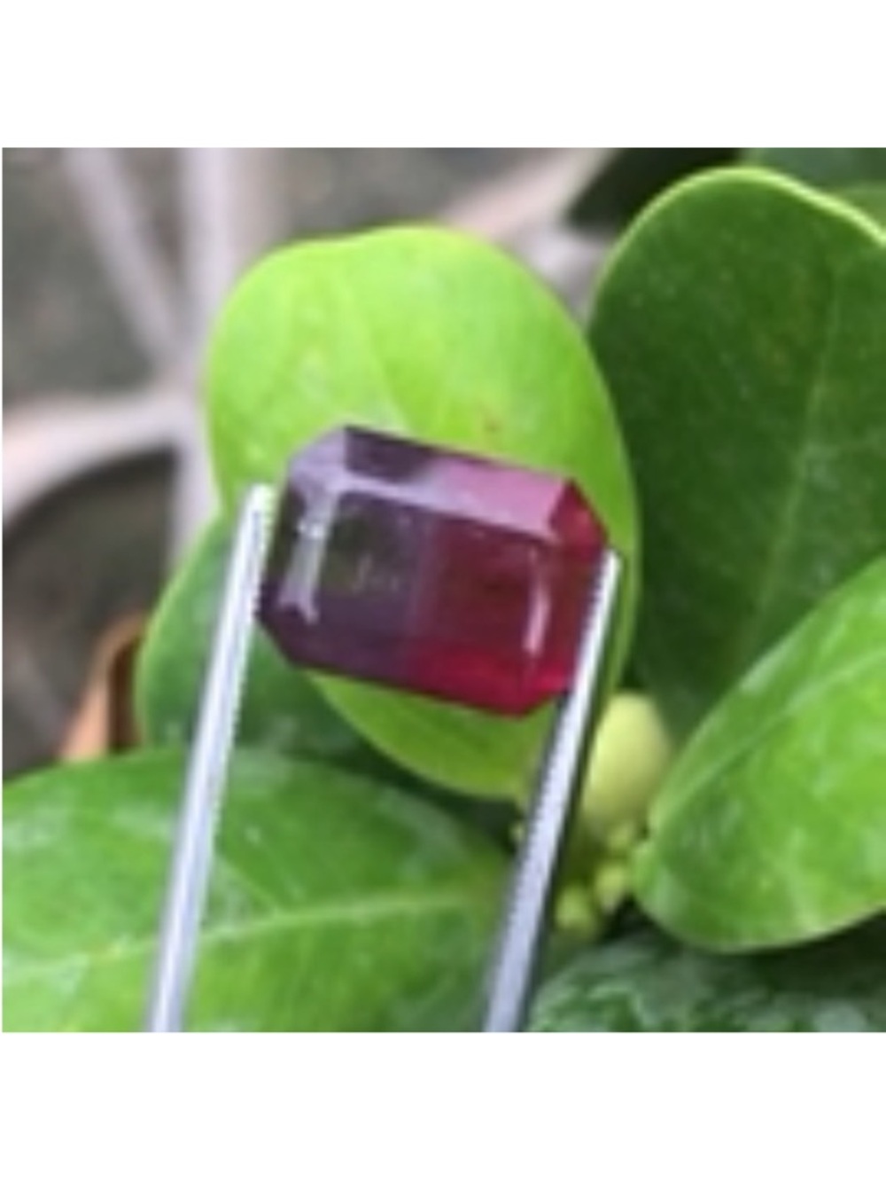 7.19 Natural Bi-Color Tourmaline Gemstone  loose - Picture 3 of 4